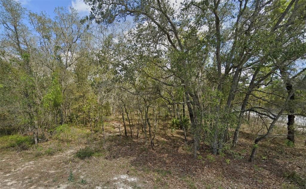 En Venta: $37,500 (0.46 acres)