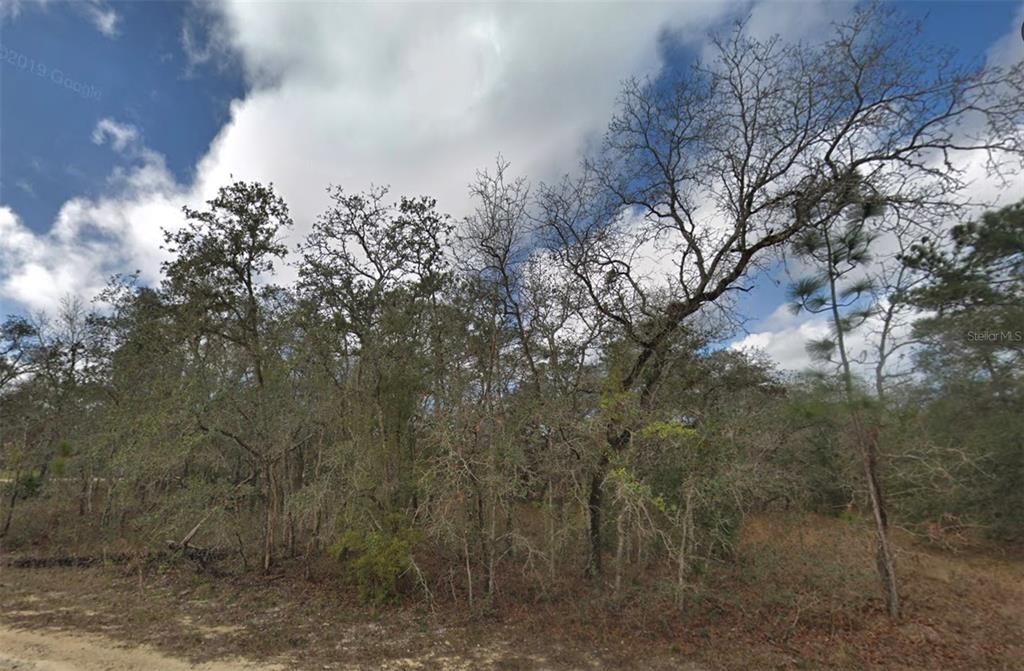 En Venta: $37,500 (0.46 acres)