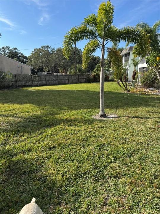 出租: $1,950 (2 贝兹, 1 浴室, 1087 平方英尺)