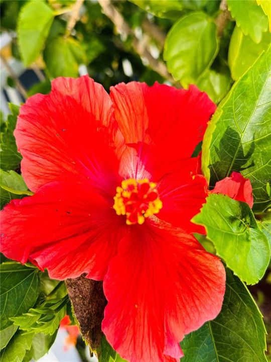 На продажу: $105,000 (2 спален, 2 ванн, 900 Квадратных фут)