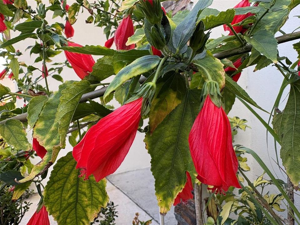 For Sale: $366,999 (3 beds, 2 baths, 1429 Square Feet)