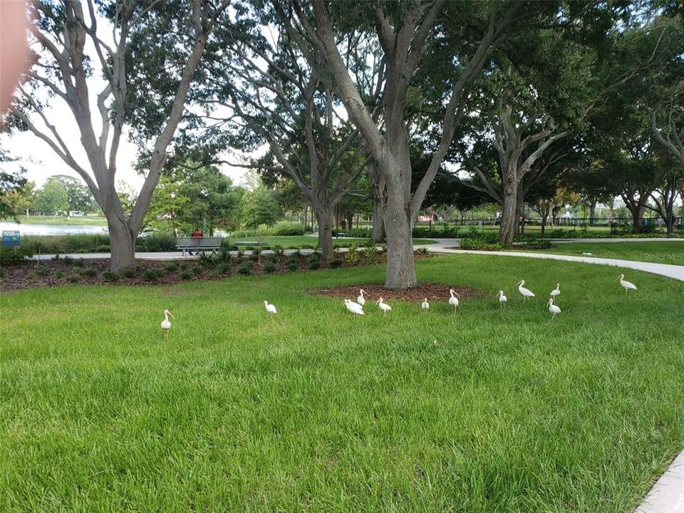 En Renta: $2,200 (2 camas, 1 baños, 881 Pies cuadrados)