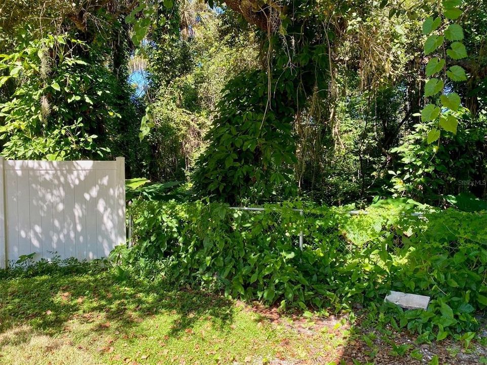 出租: $1,875 (3 贝兹, 2 浴室, 1800 平方英尺)