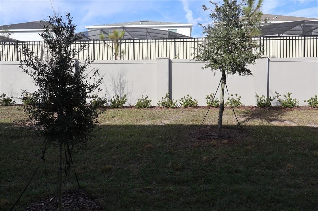 В аренду: $2,200 (3 спален, 2 ванн, 1485 Квадратных фут)