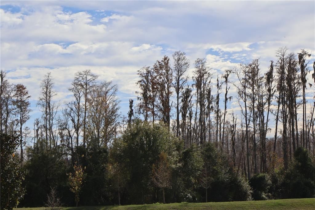 В аренду: $2,200 (3 спален, 2 ванн, 1485 Квадратных фут)