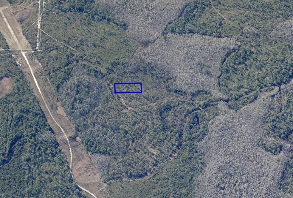 For Sale: $22,999 (1.26 acres)