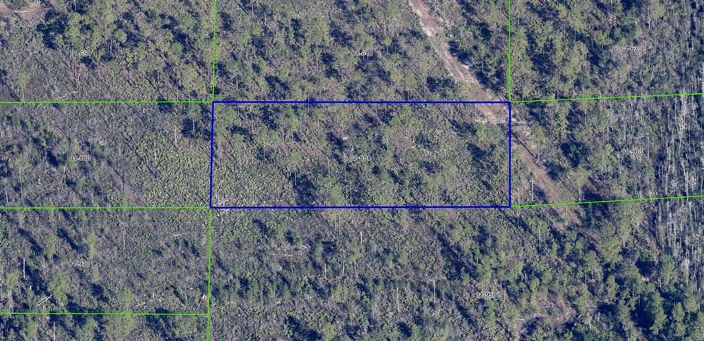 For Sale: $22,999 (1.26 acres)