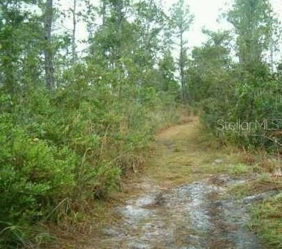 For Sale: $22,999 (1.26 acres)