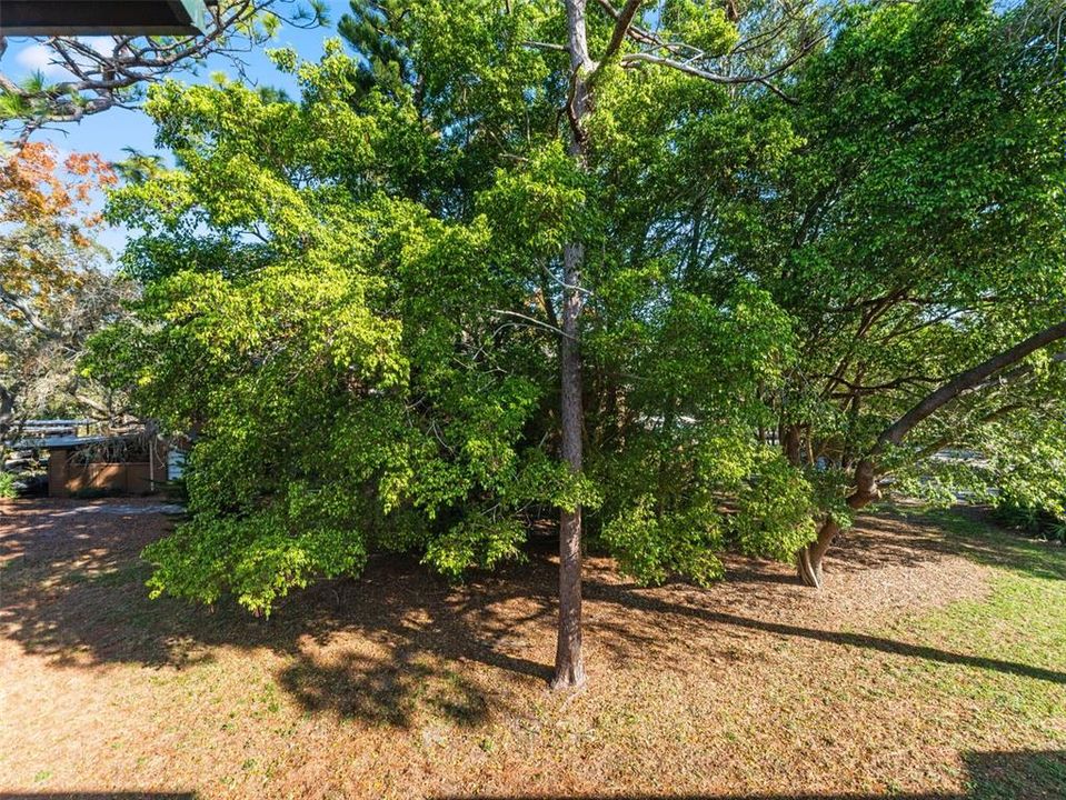 待售: $220,000 (2 贝兹, 2 浴室, 1050 平方英尺)