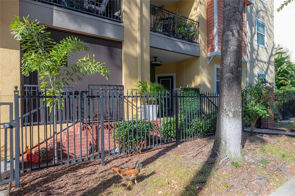 Activo con contrato: $267,000 (2 camas, 2 baños, 1152 Pies cuadrados)