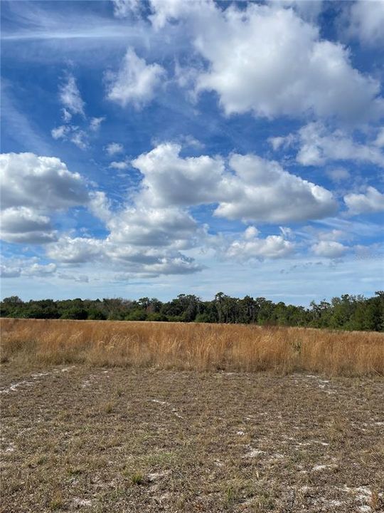 For Sale: $612,000 (5.14 acres)