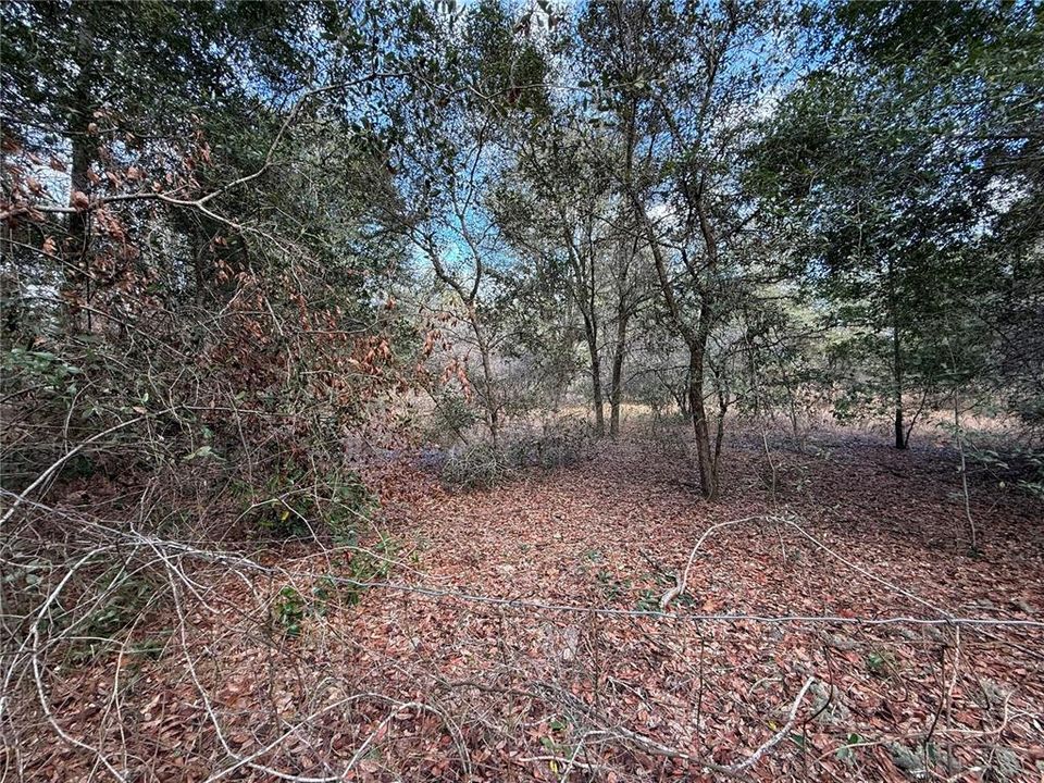 待售: $57,000 (2.27 acres)