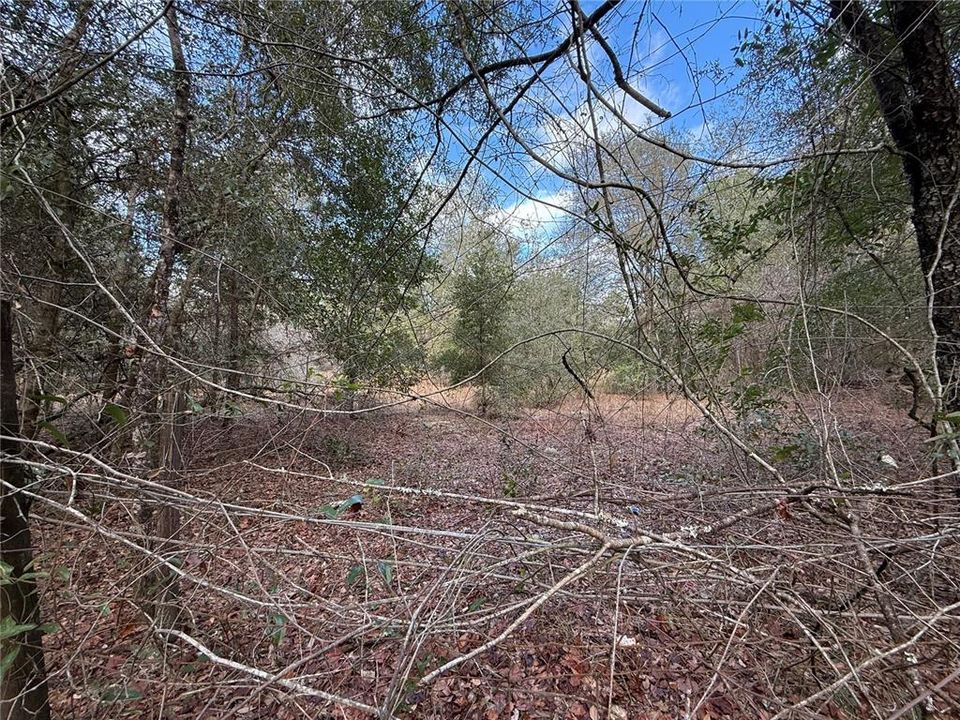 待售: $57,000 (2.27 acres)