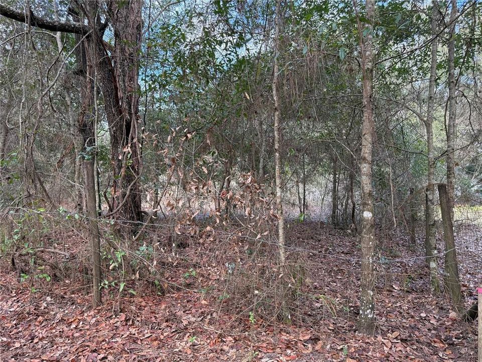 待售: $57,000 (2.27 acres)