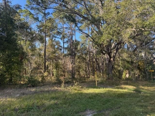 待售: $52,900 (0.23 acres)