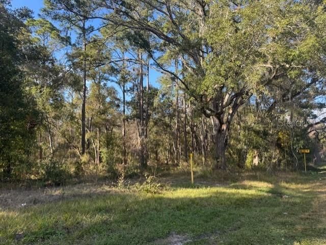 待售: $52,900 (0.23 acres)