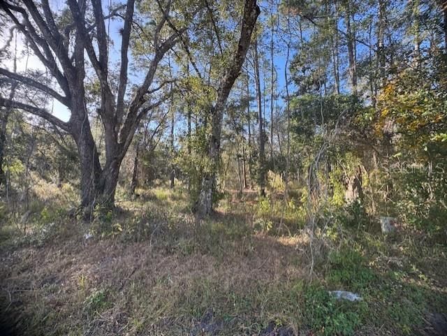 待售: $52,900 (0.23 acres)