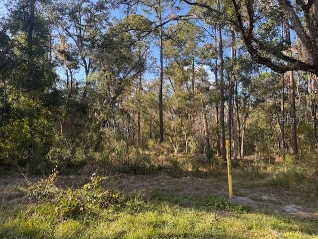 待售: $52,900 (0.23 acres)