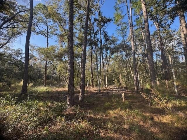 待售: $52,900 (0.23 acres)