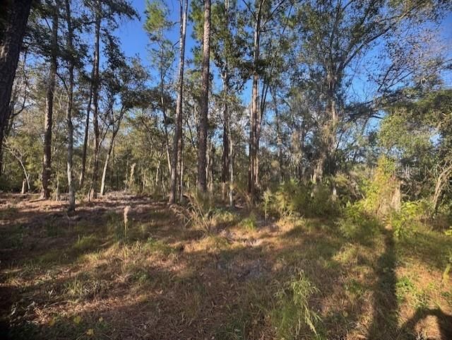 待售: $52,900 (0.23 acres)