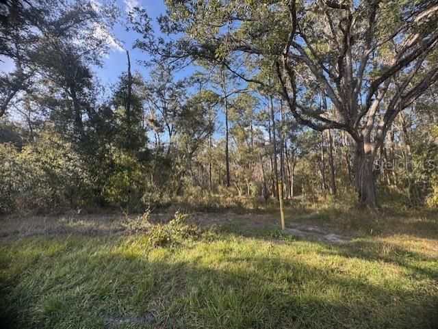 待售: $52,900 (0.23 acres)