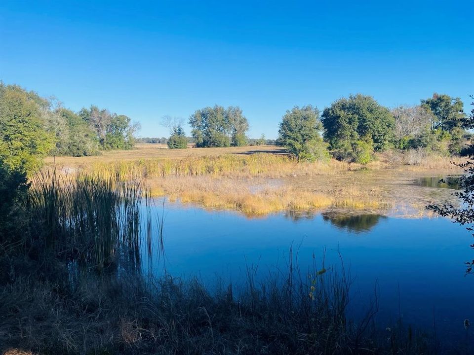 На продажу: $589,950 (7.15 acres)