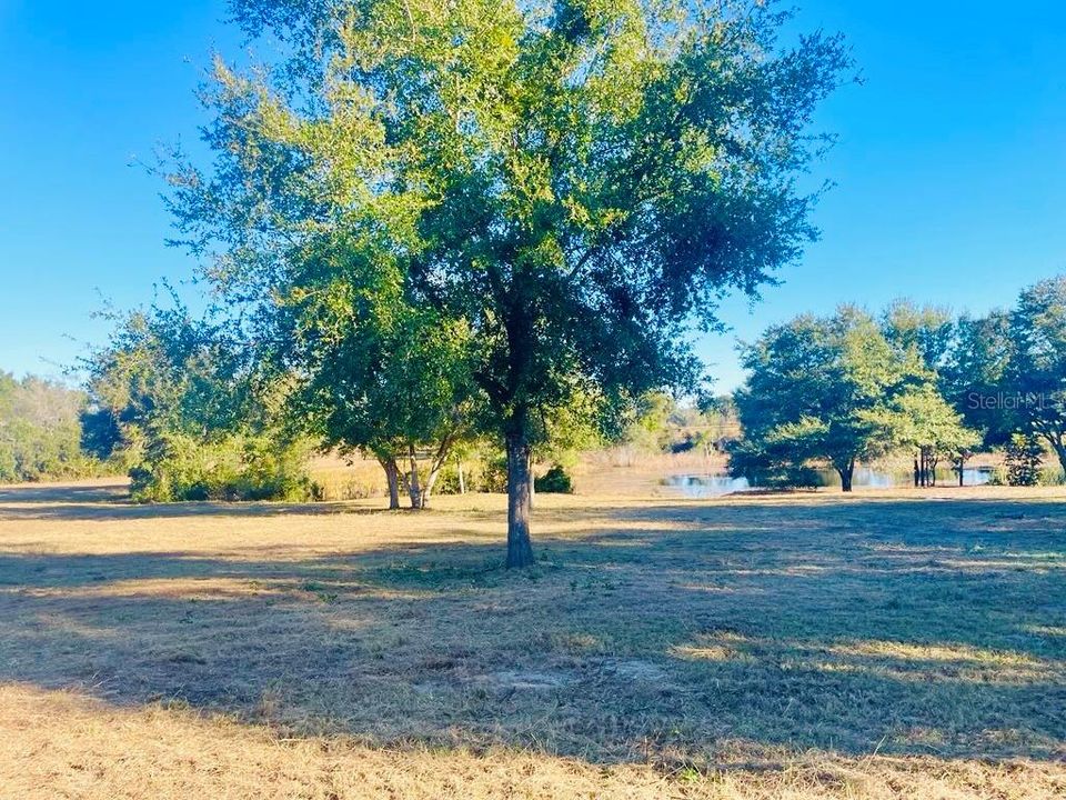 На продажу: $589,950 (7.15 acres)