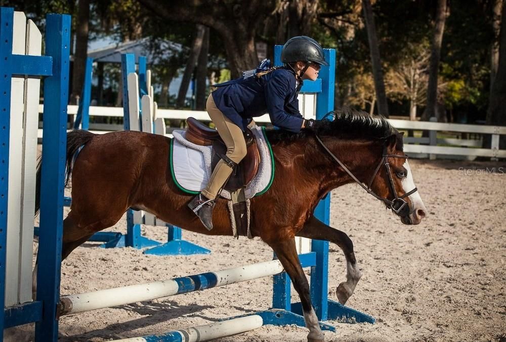 出租: $3,145 (3 贝兹, 2 浴室, 1674 平方英尺)