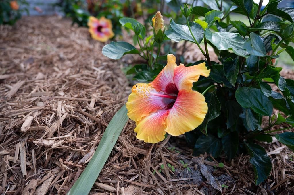 For Sale: $649,900 (2 beds, 2 baths, 1762 Square Feet)