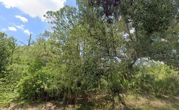 待售: $32,000 (0.50 acres)