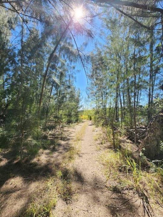 待售: $32,000 (0.50 acres)