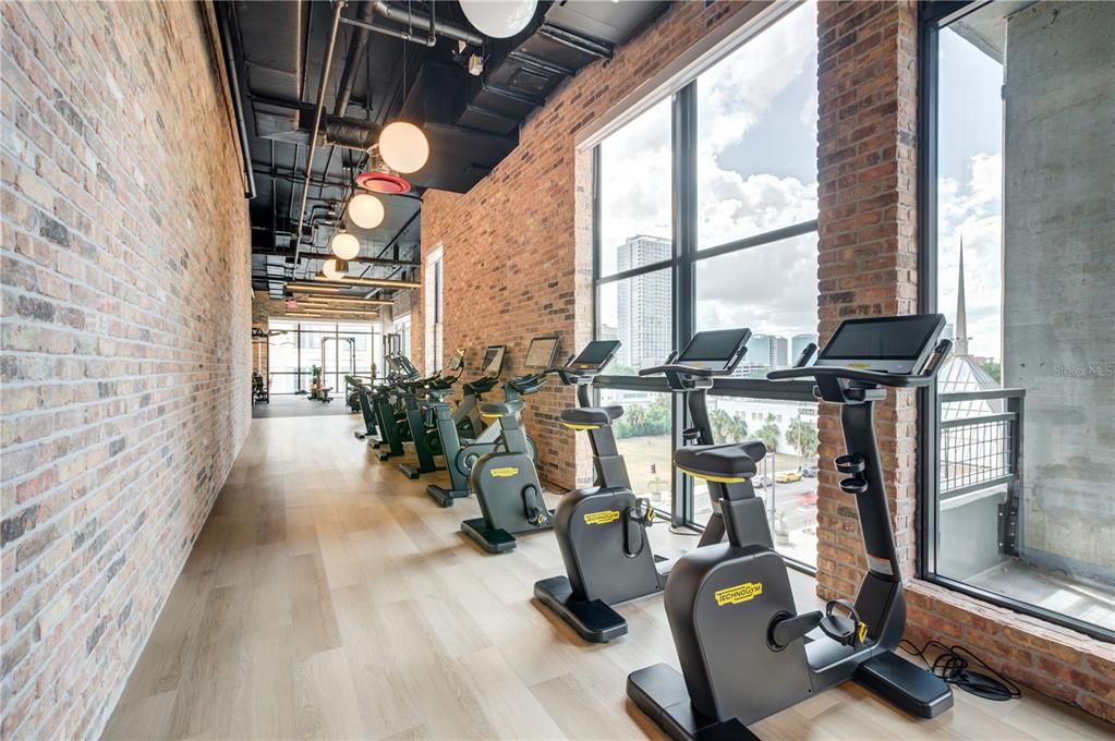 出租: $2,520 (0 贝兹, 1 浴室, 518 平方英尺)