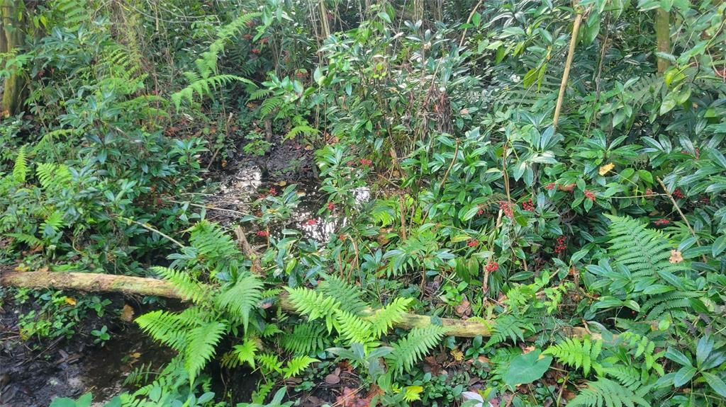 待售: $800,000 (2 贝兹, 2 浴室, 1535 平方英尺)