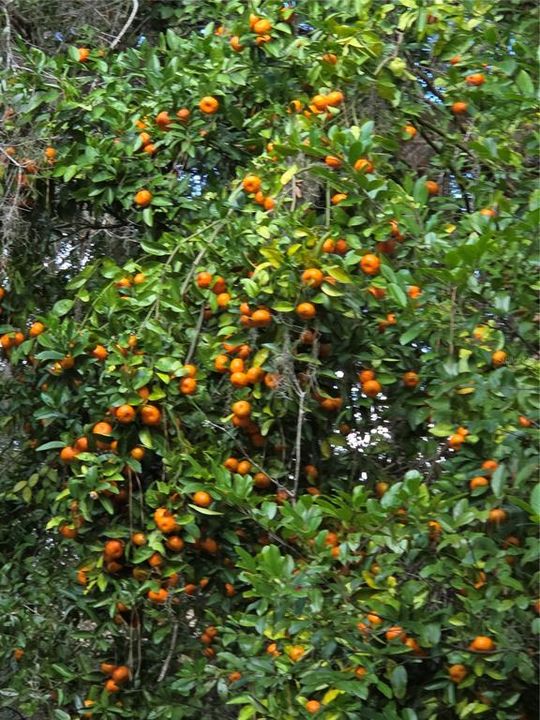 待售: $800,000 (2 贝兹, 2 浴室, 1535 平方英尺)