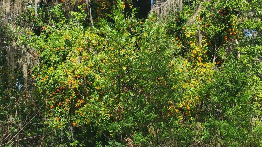 待售: $800,000 (2 贝兹, 2 浴室, 1535 平方英尺)