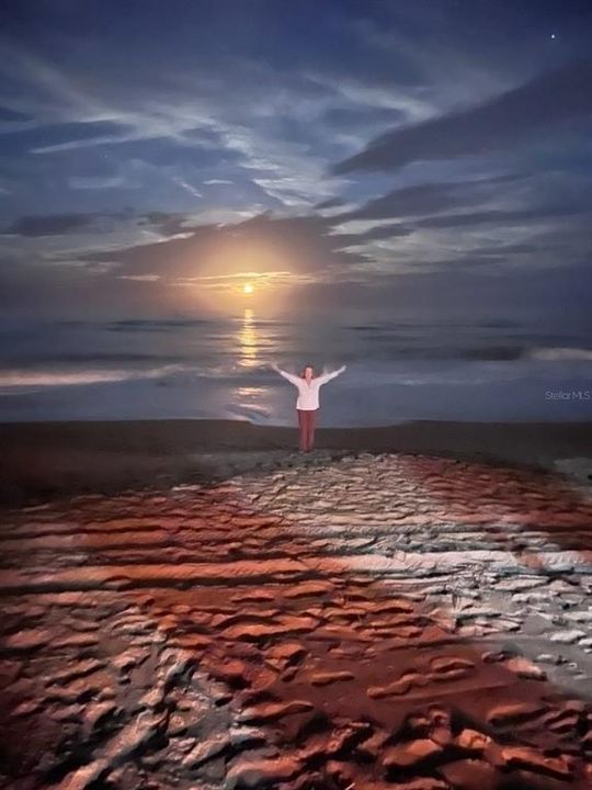 待售: $299,999 (2 贝兹, 2 浴室, 873 平方英尺)