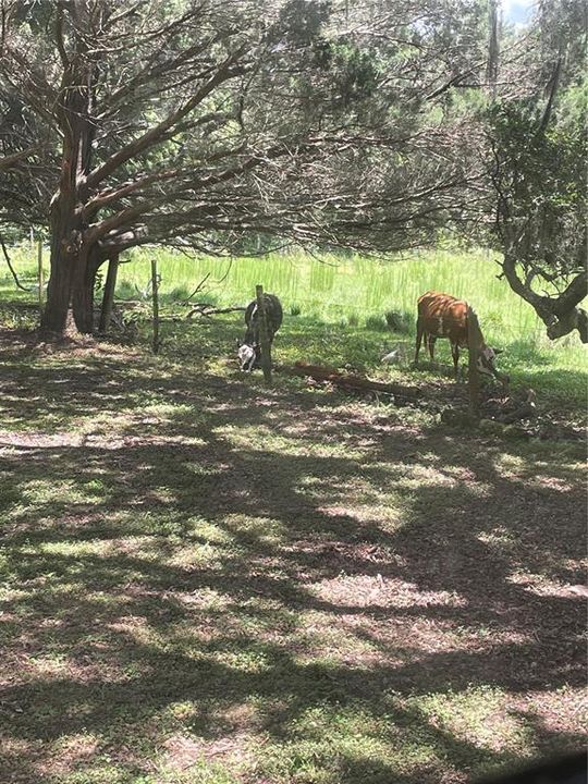 В аренду: $2,150 (4 спален, 2 ванн, 2244 Квадратных фут)