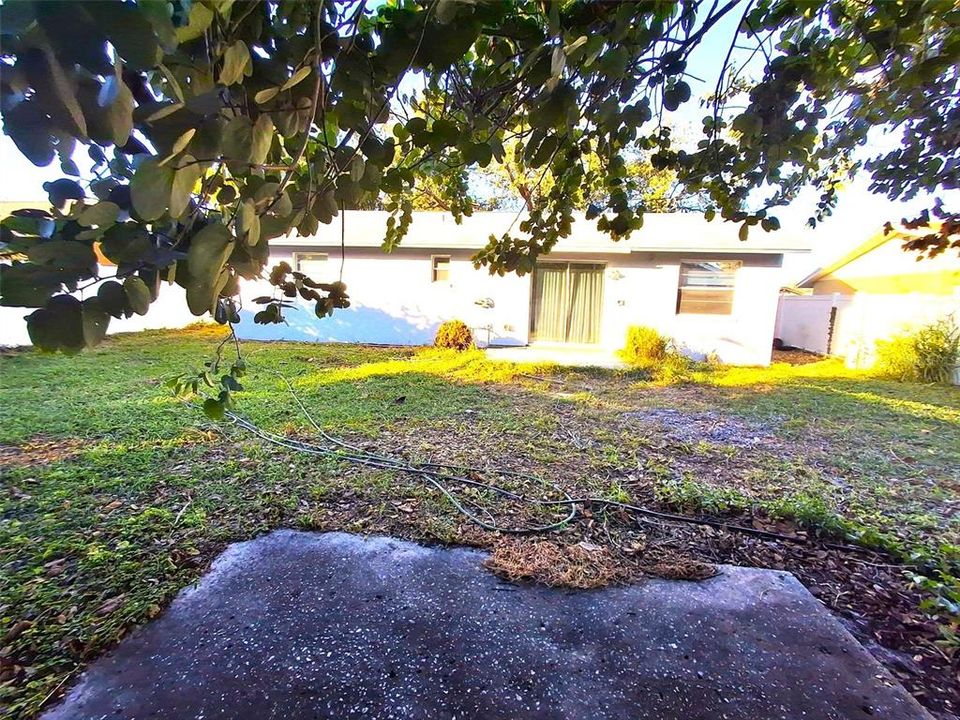 出租: $2,375 (3 贝兹, 2 浴室, 1039 平方英尺)