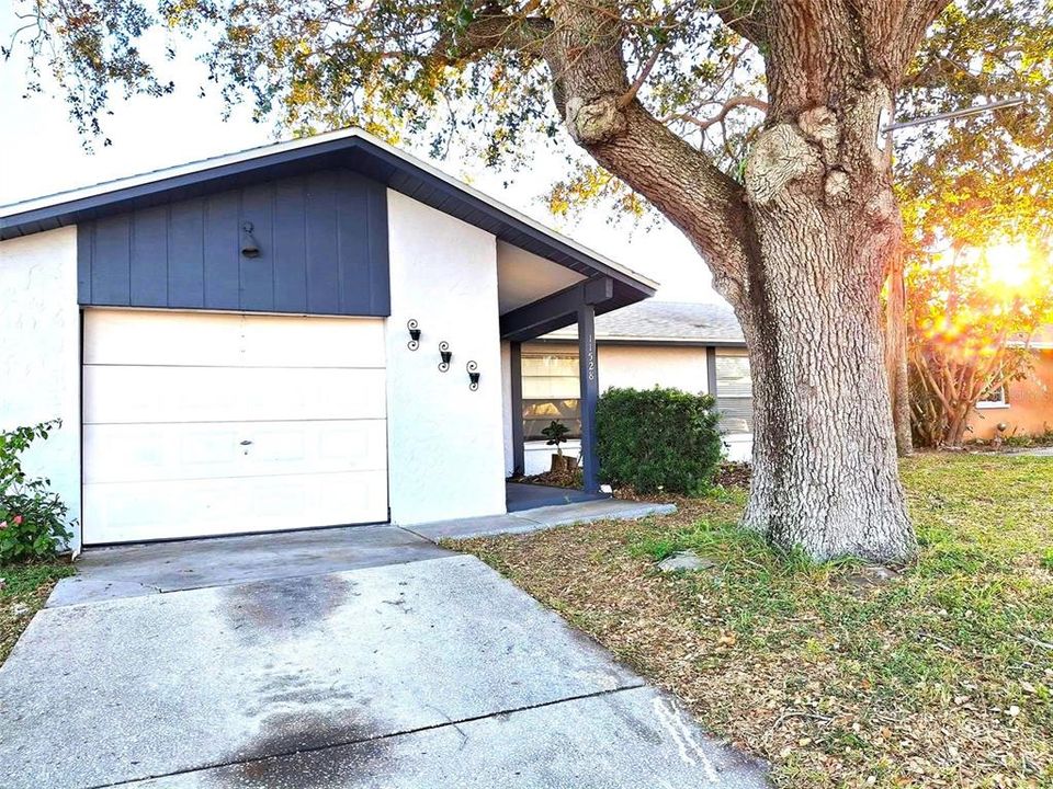 出租: $2,375 (3 贝兹, 2 浴室, 1039 平方英尺)