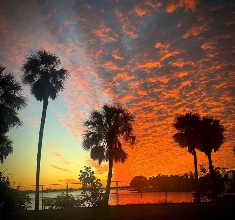 待售: $245,000 (2 贝兹, 2 浴室, 1343 平方英尺)