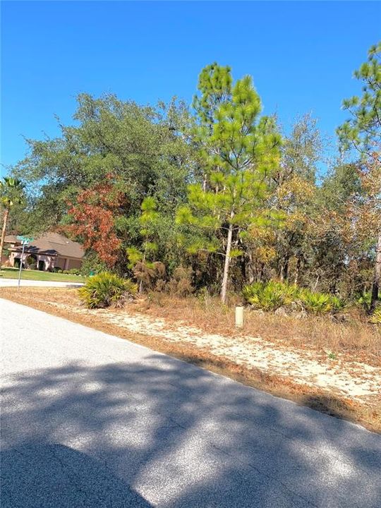 待售: $30,000 (0.38 acres)