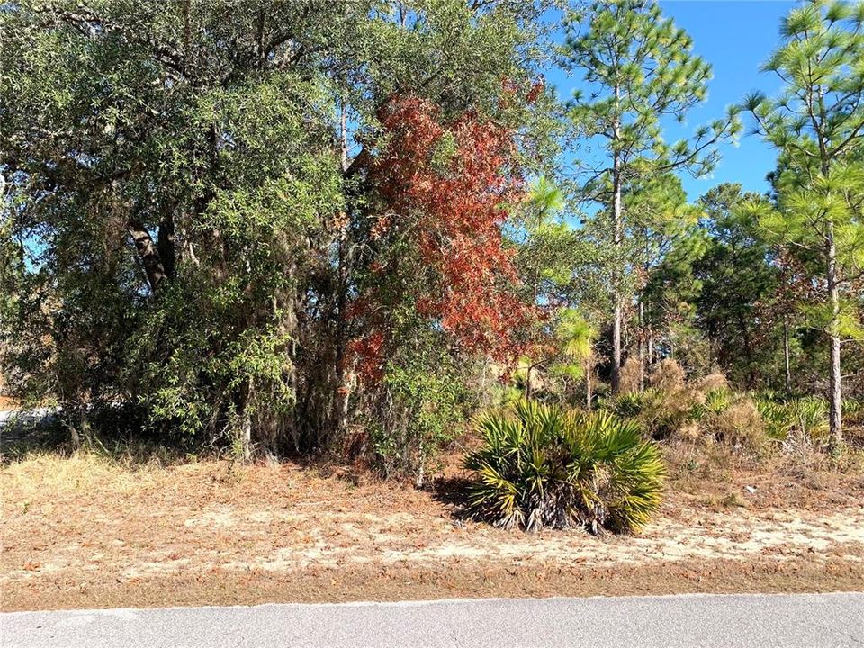 待售: $30,000 (0.38 acres)