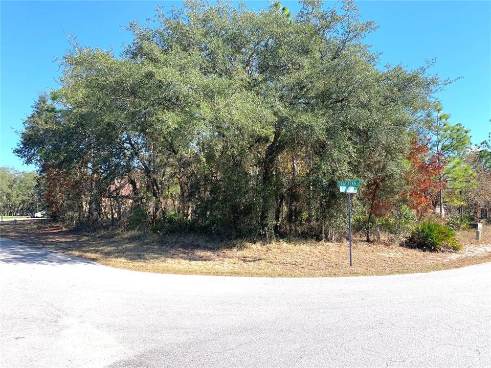 待售: $30,000 (0.38 acres)