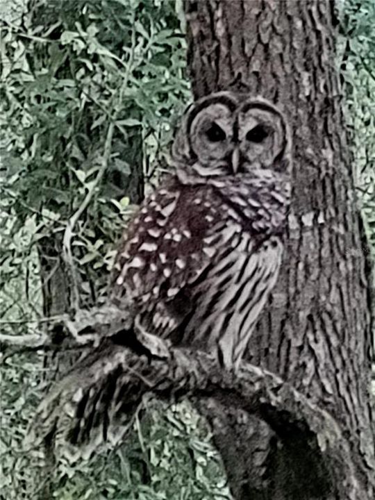 For Sale: $309,000 (2 beds, 2 baths, 1866 Square Feet)