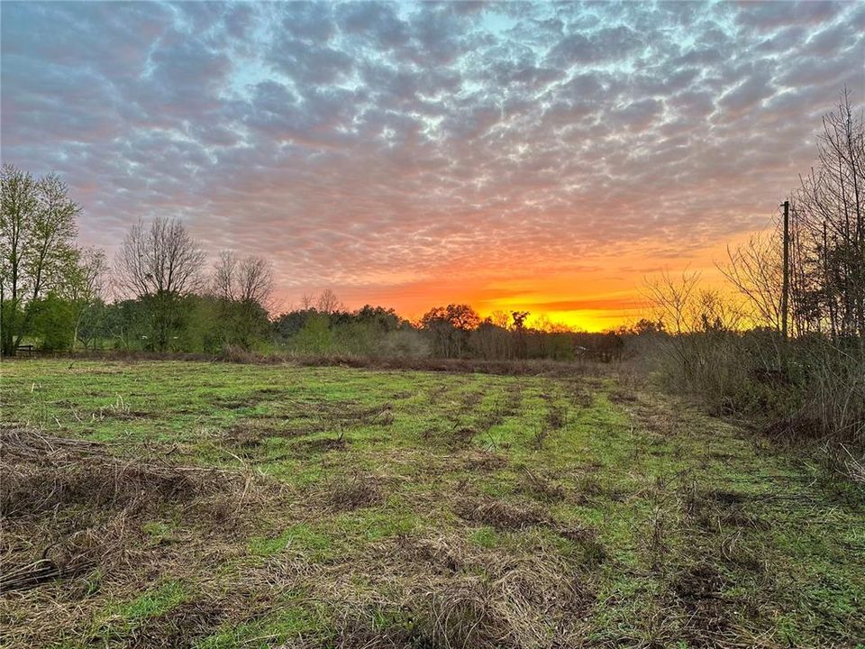 На продажу: $299,000 (10.00 acres)