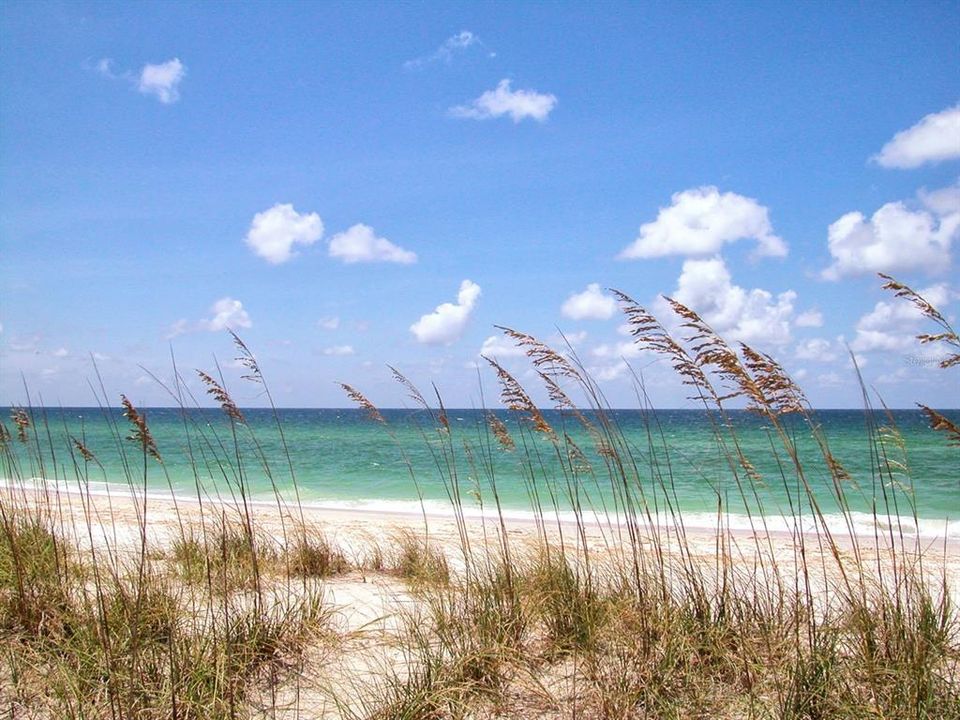 На продажу: $365,000 (2 спален, 2 ванн, 1184 Квадратных фут)