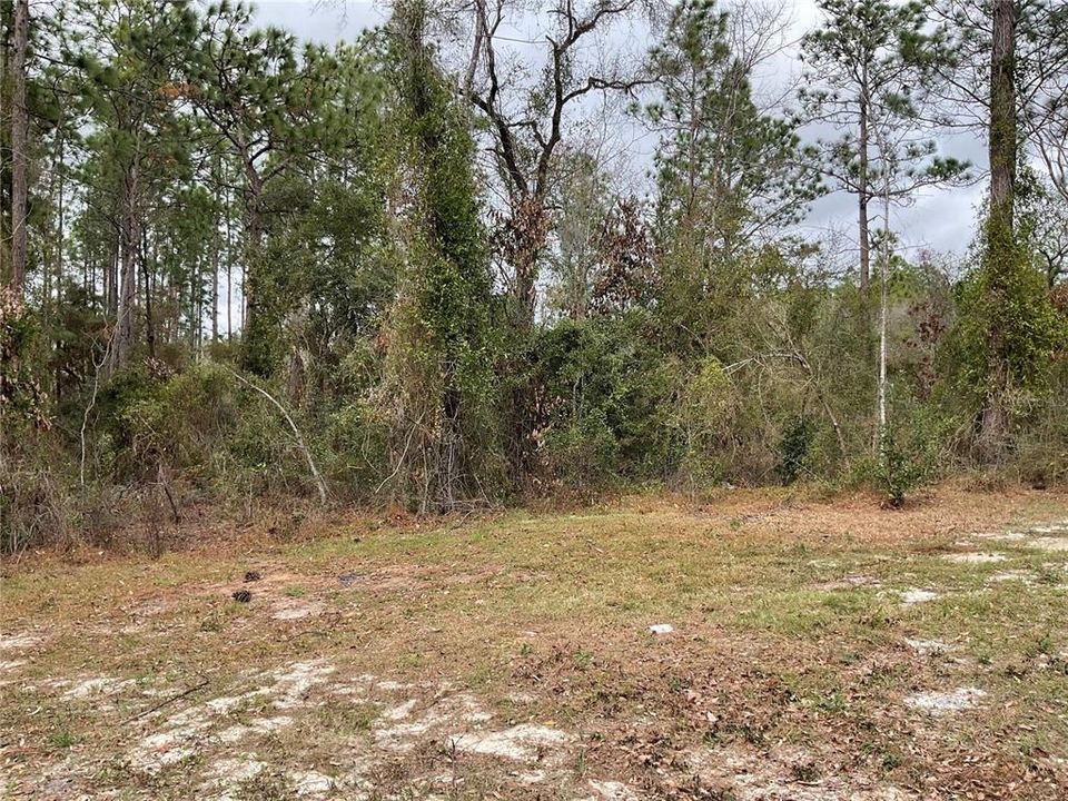 For Sale: $184,950 (3 beds, 2 baths, 1218 Square Feet)