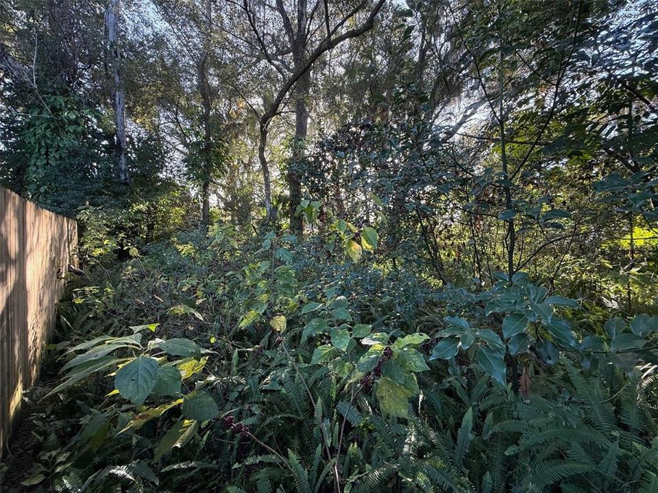 На продажу: $69,000 (0.33 acres)