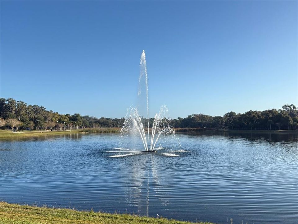 На продажу: $69,000 (0.33 acres)