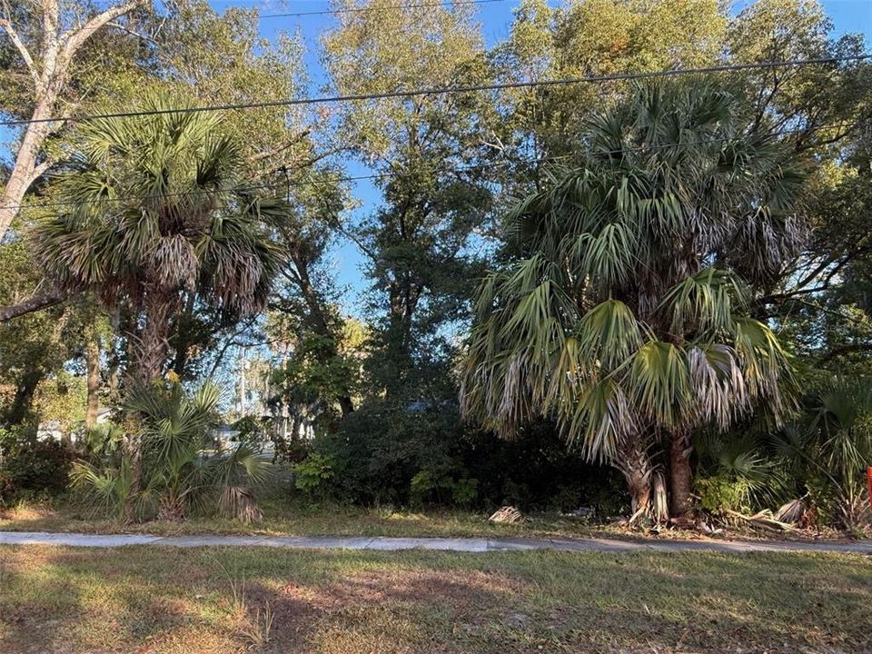 На продажу: $69,000 (0.33 acres)